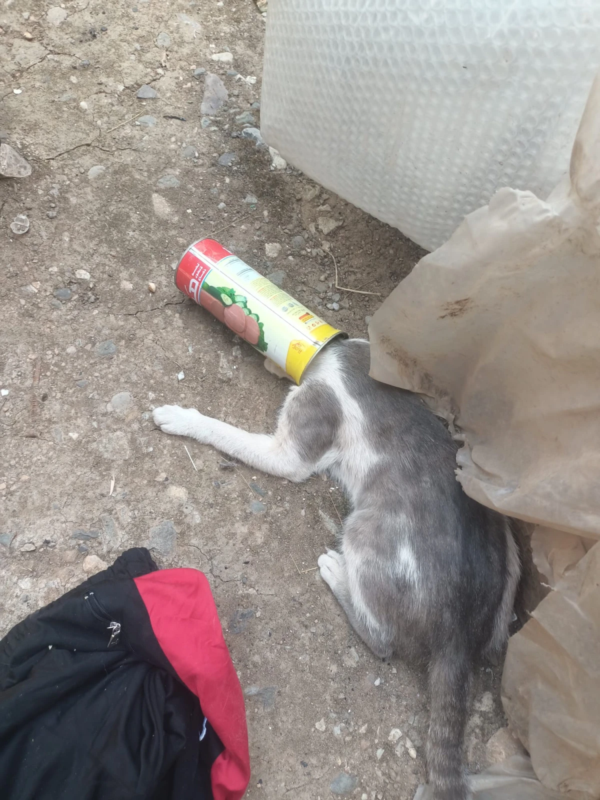 BAŞI MEYVE SUYU KUTUSUNA SIKIŞAN KEDİYİ İTFAİYE KURTARDI