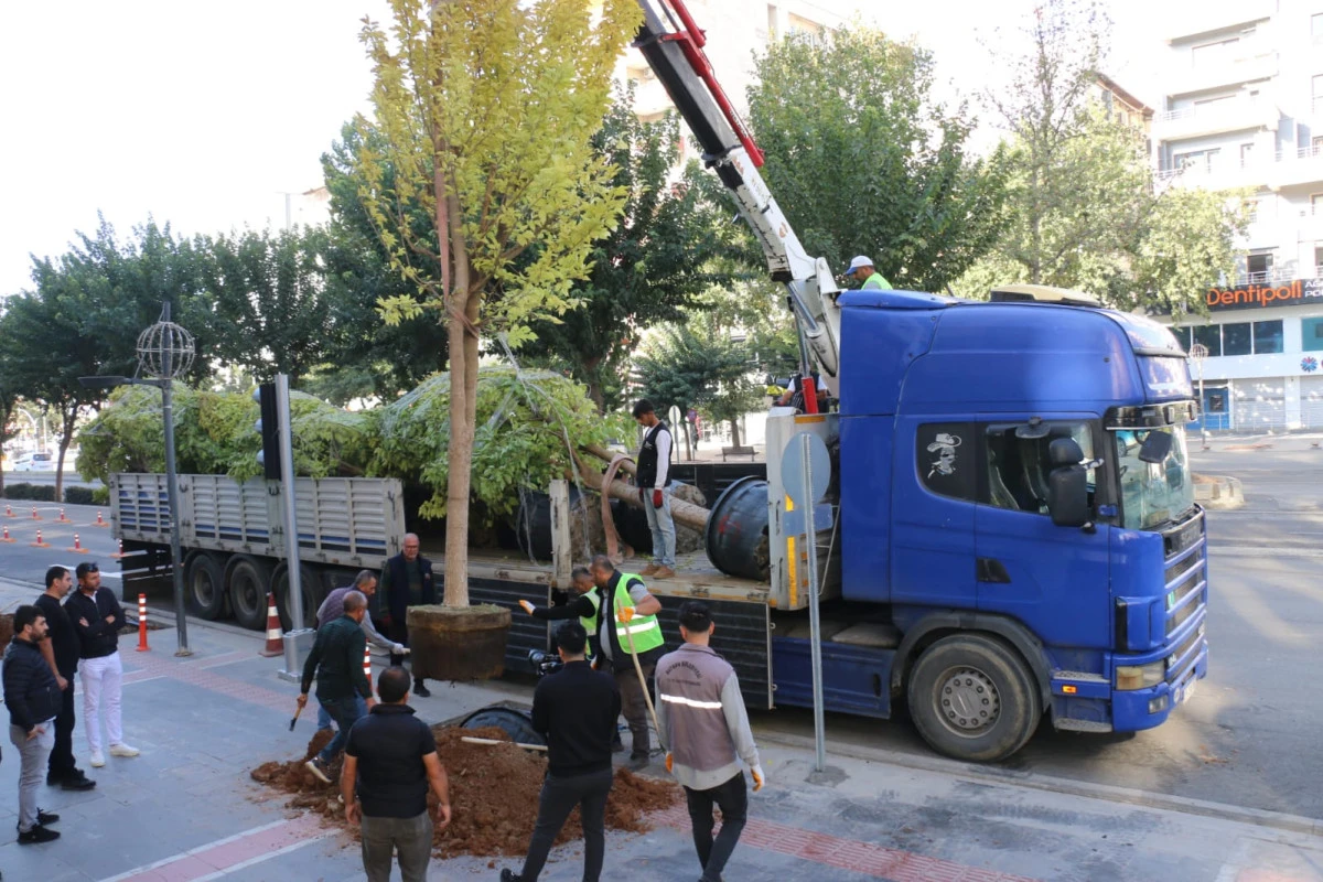 BATMAN BELEDİYESİ, TURGUT ÖZAL BULVARI'NI YENİDEN YEŞİLLENDİRİYOR