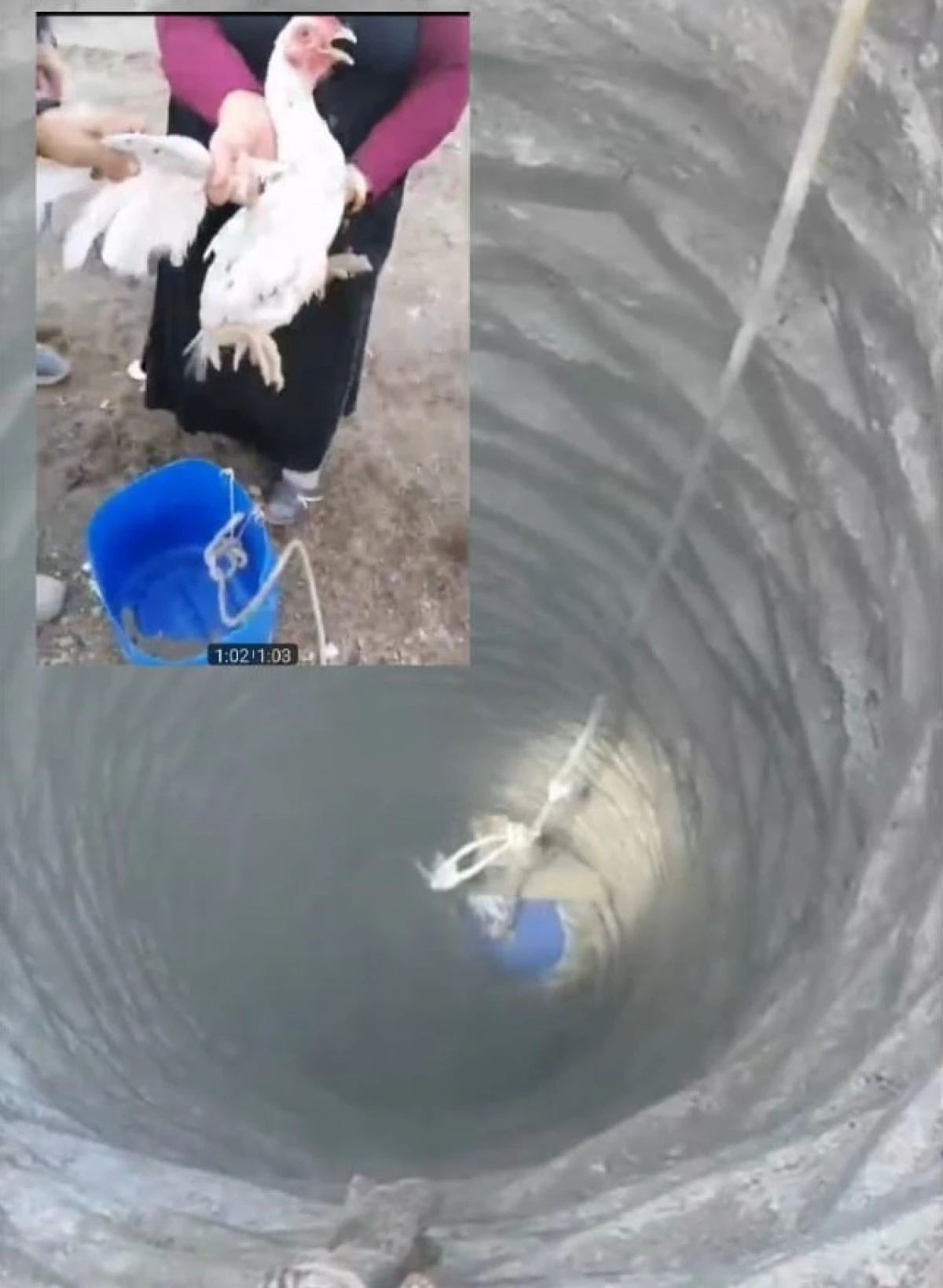 BATMAN İTFAİYE EKİPLERİ 20 METRELİK ESKİ SU KUYUSUNA DÜŞEN HOROZ'U KURTARDI