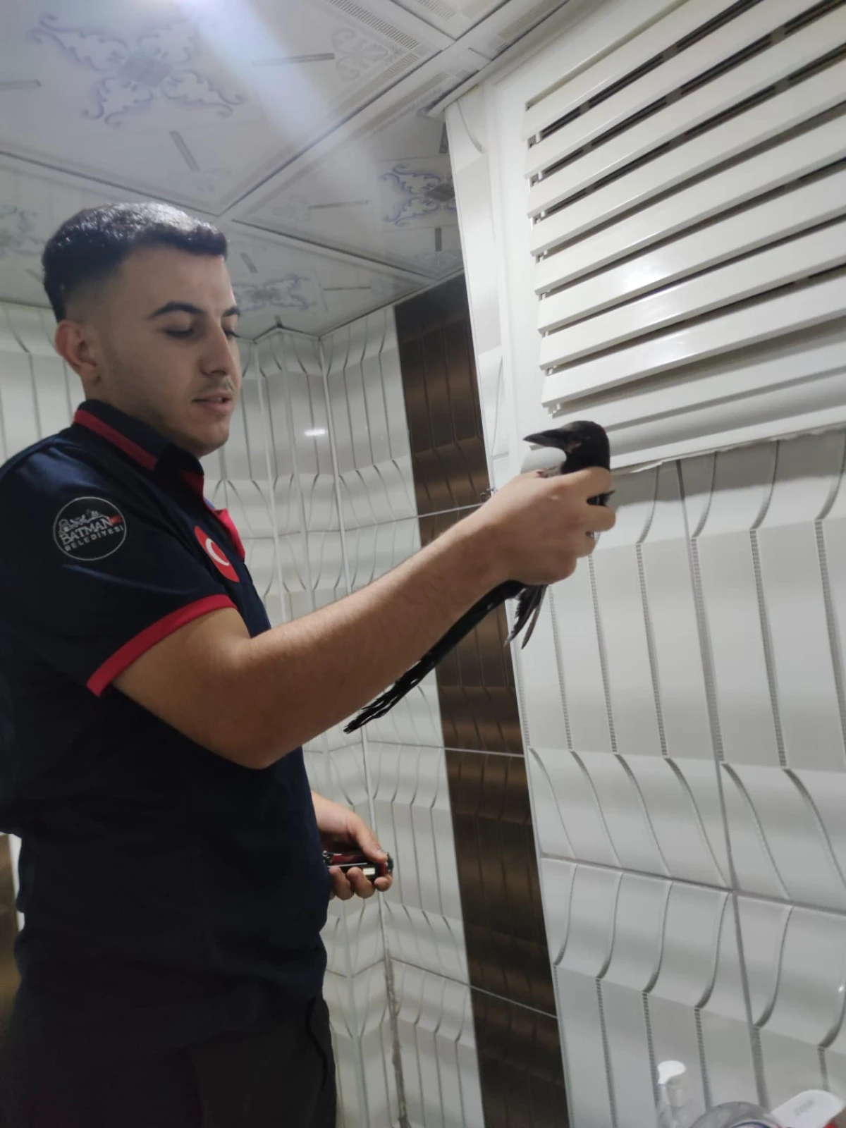 BATMAN İTFAİYESİ BU KEZ BİR KARGAYI KURTARDI