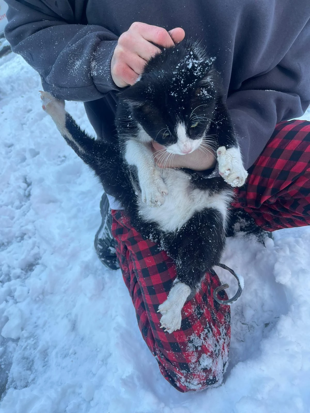 BATMAN İTFAİYESİ&rsquo;NDEN İ&Ccedil; ISITAN M&Uuml;DAHALE