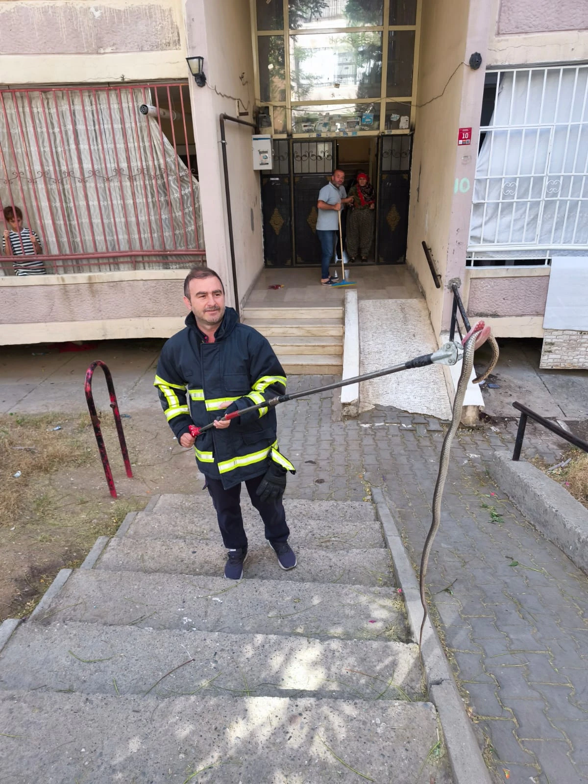BATMAN TOKİ KONUTLARINDA KORKUTAN YILAN PANİĞİ