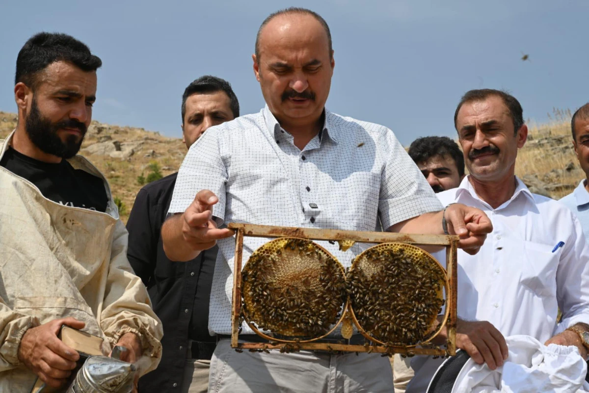 BATMAN VALİSİ CANALP, SASON COBET YAYLASI’NDA İLK BAL SAĞIMINA KATILDI