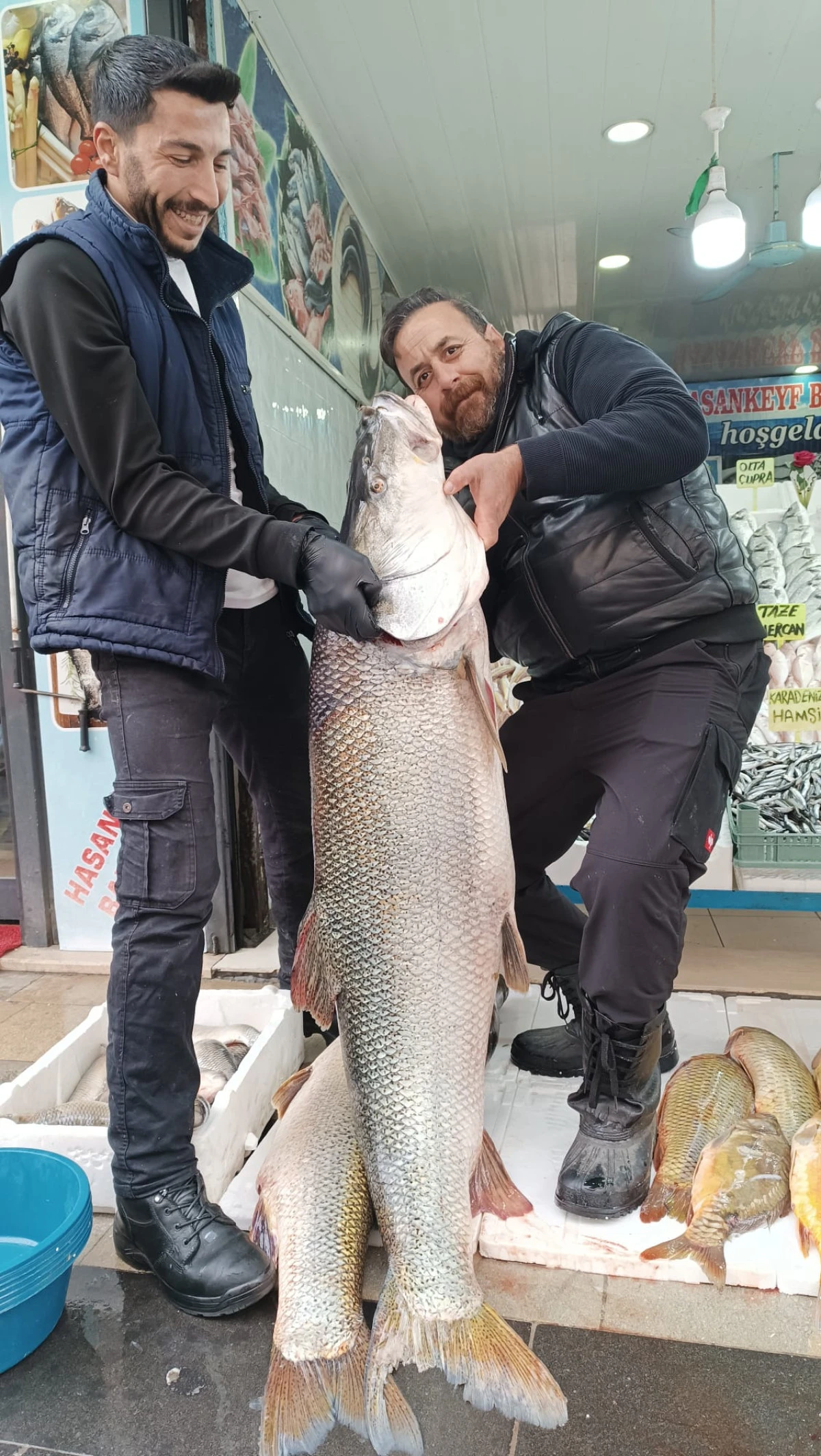 BATMAN&rsquo;DA DEV TURNA BALIĞI İLGİ ODAĞI OLDU