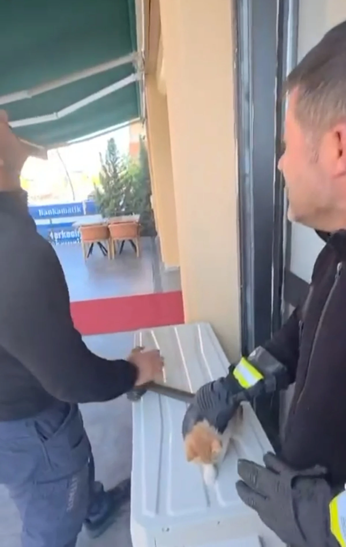 Batman&rsquo;da Duvara Sıkışan Yavru Kediyi İtfaiye Kurtardı