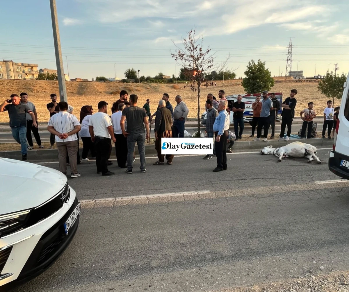 BATMAN'DA HAFİF TİCARİ ARA&Ccedil; EŞEĞE &Ccedil;ARPTI