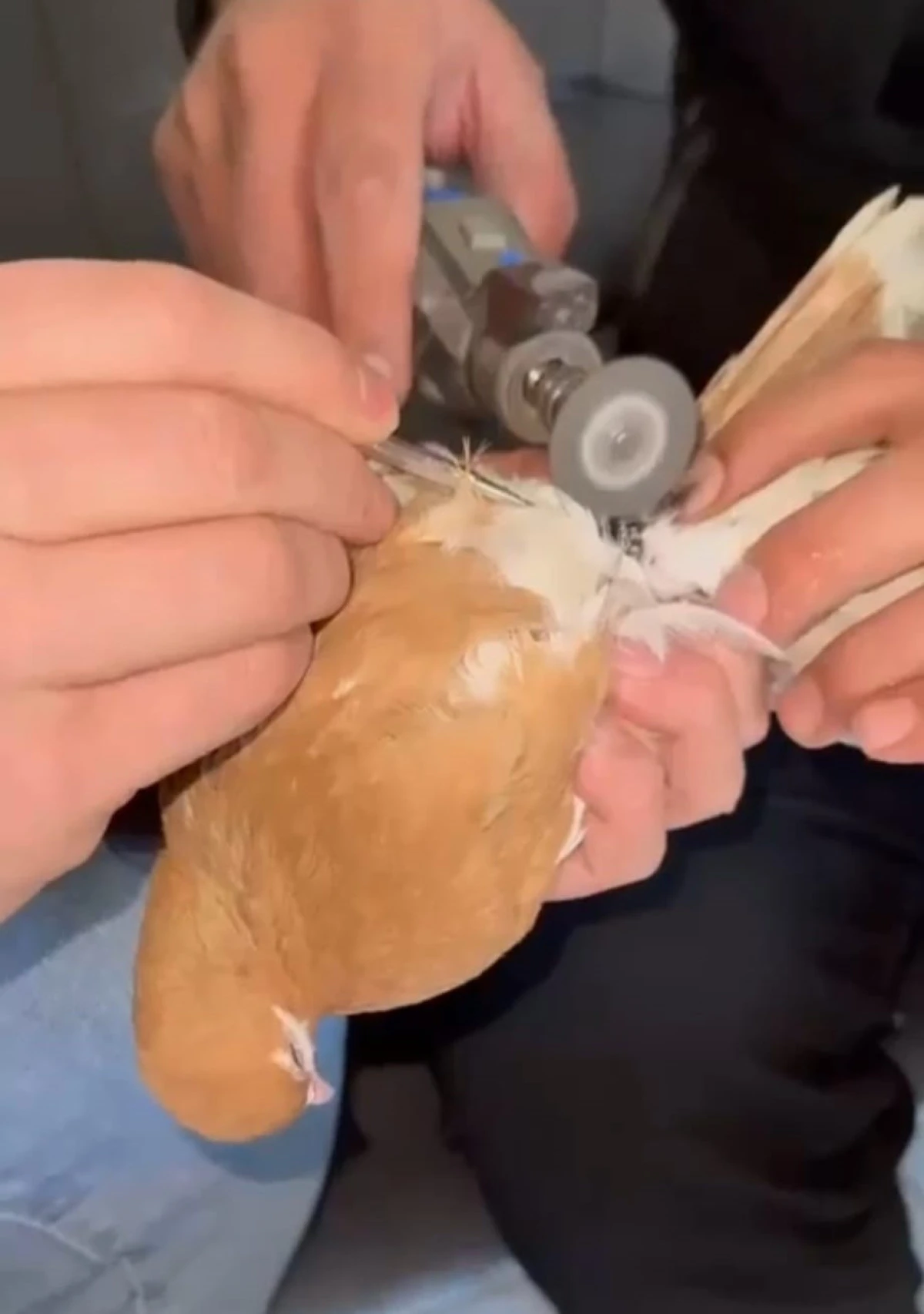 BATMAN&rsquo;DA İTFAİYE EKİPLERİ G&Uuml;VERCİN İ&Ccedil;İN SEFERBER OLDU