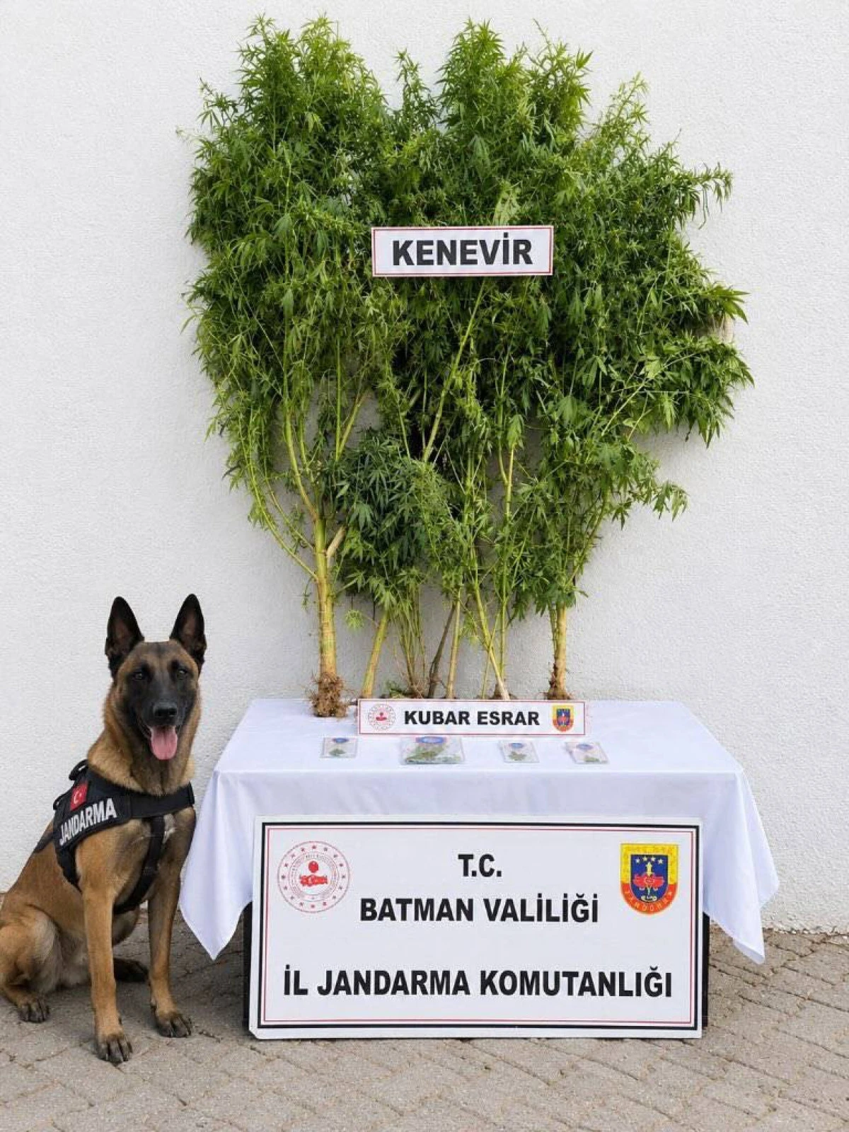 BATMAN&rsquo;DA KA&Ccedil;AK&Ccedil;ILIK OPERASYONLARI: 27 Ş&Uuml;PHELİ HAKKINDA ADLİ İŞLEM YAPILDI