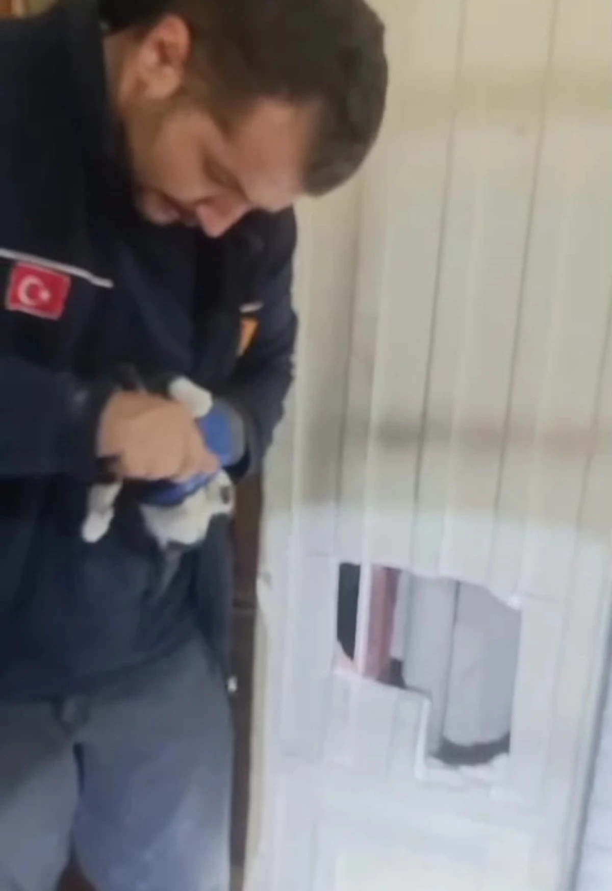BATMAN'DA KOLON BOŞLUĞUNA DÜŞEN İKİ YAVRU KEDİ, İTFAİYE EKİPLERİNİN YOĞUN ÇABASIYLA KURTARILDI.