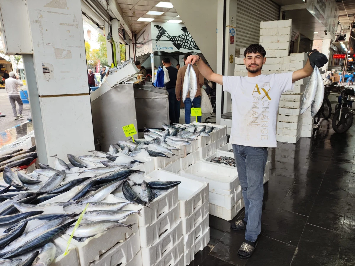 BATMAN'DA PALAMUT BOLLUĞU