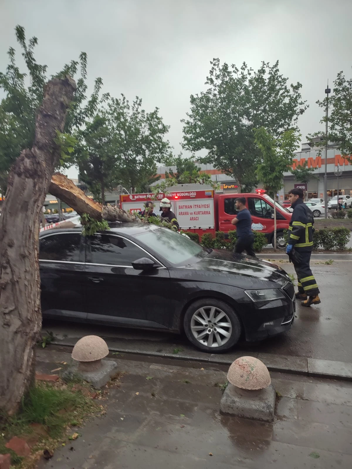 BATMAN'DA ŞİDDETLİ RÜZGARIN DEVİRDİĞİ AĞAÇ, PARK HALİNDEKİ ARACIN ÜSTÜNE DÜŞTÜ