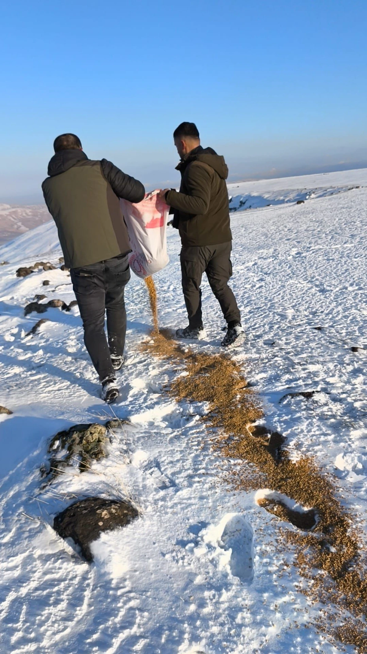 BATMAN&rsquo;DA YABAN HAYATINA VALİLİKTEN ŞEFKAT ELİ: KARLA KAPLI DOĞAYA TONLARCA YEM BIRAKILDI