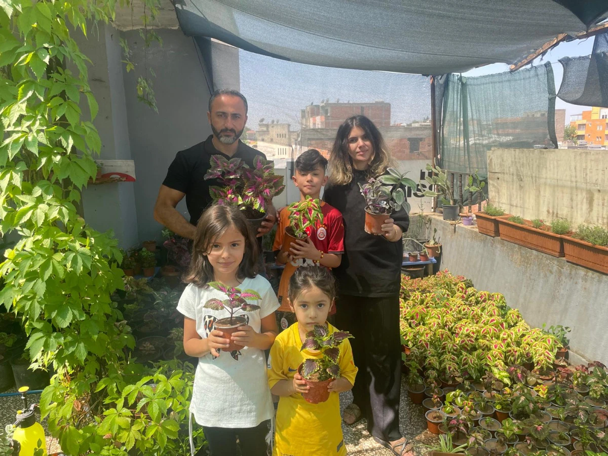 Bu Aile Geçimini Çiçeklerden Sağlıyor Sığınmacı Ailenin Terasta Yeşeren Umudu: 100 Çeşit Çiçek