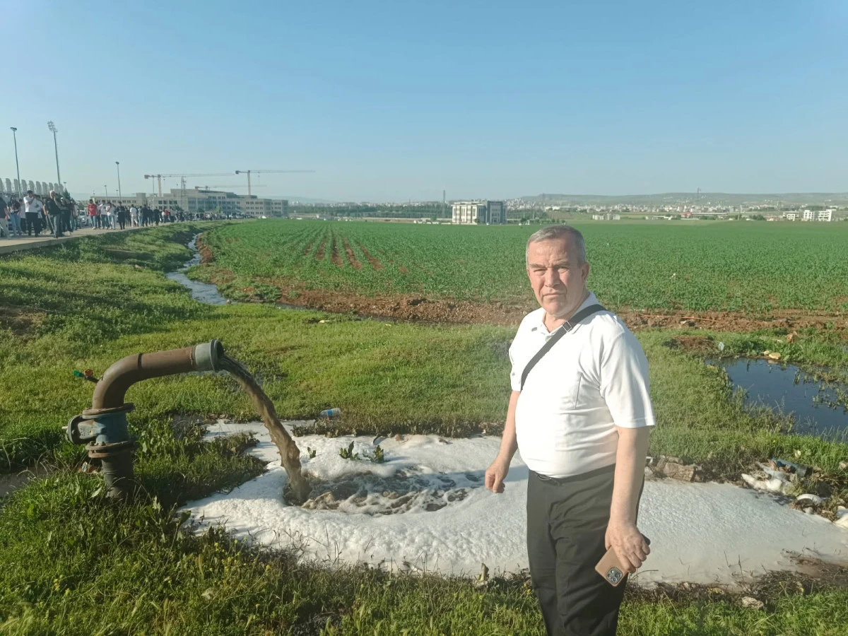 Çevrecilerden Yetkililere Çağrı: 
