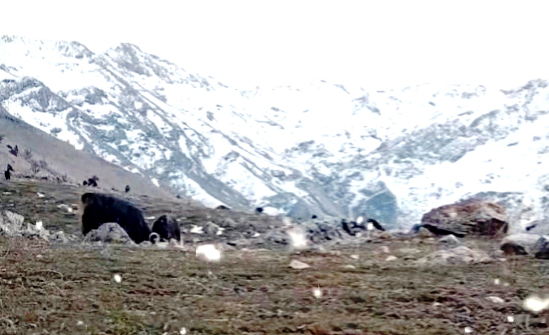 Çiftçiler ‘Yağışlar Yetersiz’