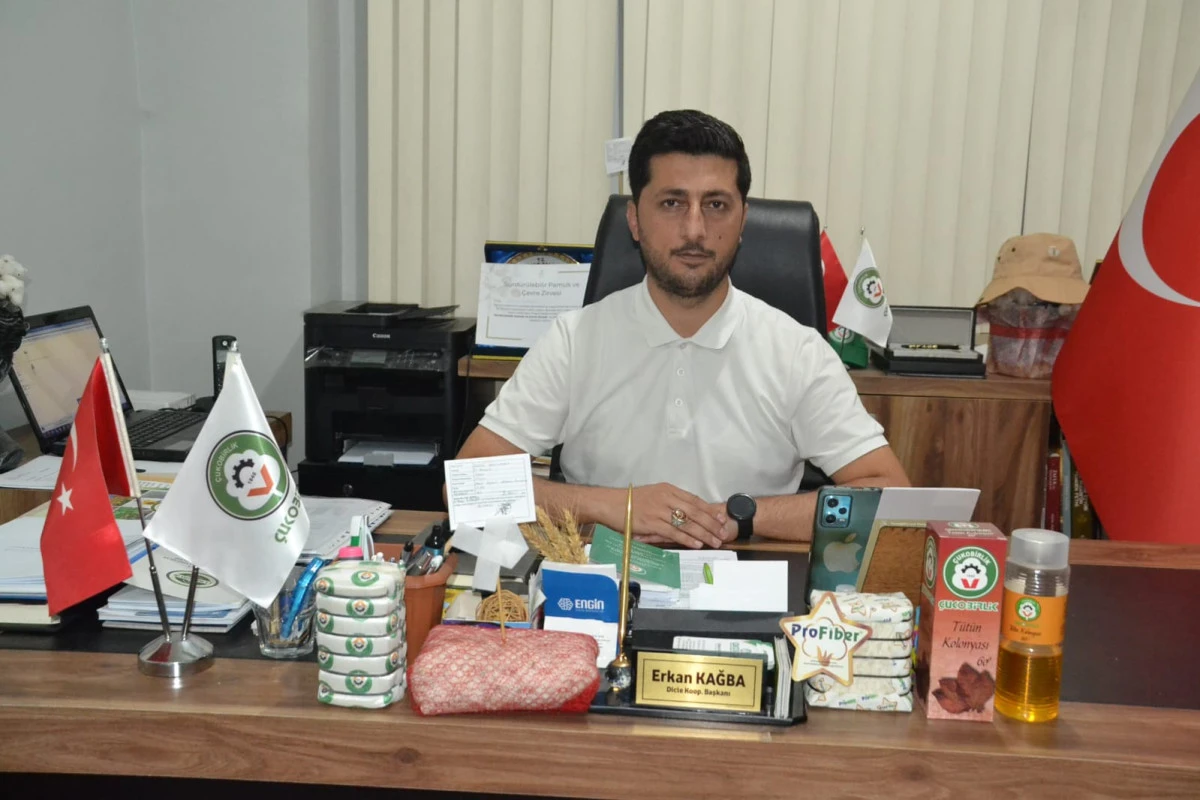 ÇUKOBİRLİK'TEN AYÇİÇEĞİ ÜRETİCİSİNE MÜJDE: FİYATLAR YÜKSELTİLDİ