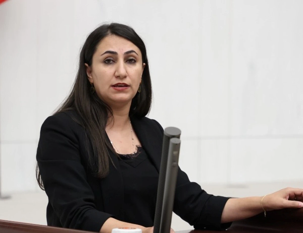 Dem Parti Batman Milletvekili Zeynep Oduncu A&ccedil;ıklamalarda Bulundu;.
