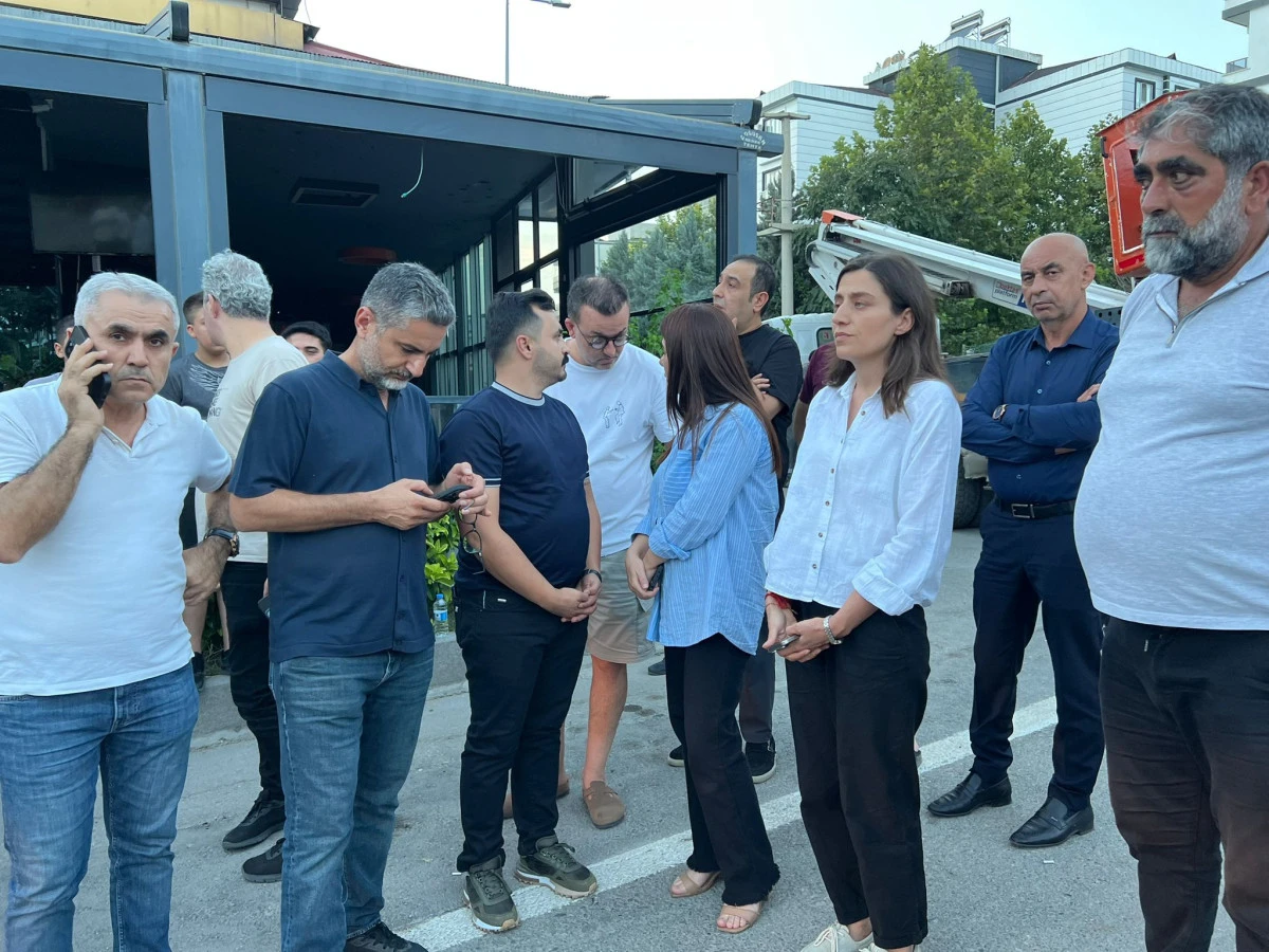Dem Partiden Yaralılara Ziyaret