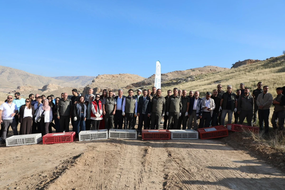 HASANKEYF'TE DOĞAL YAŞAMA CEYLAN VE KINALI KEKLİK BIRAKILDI