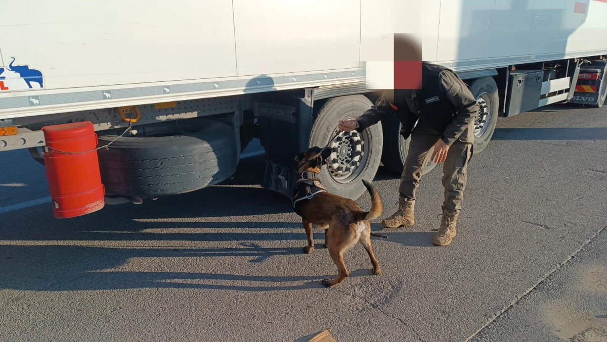  HECTOR VE MAİLO, BATMAN’DA UYUŞTURUCU TACİRLERİNİN KORKULU RÜYASI OLDU