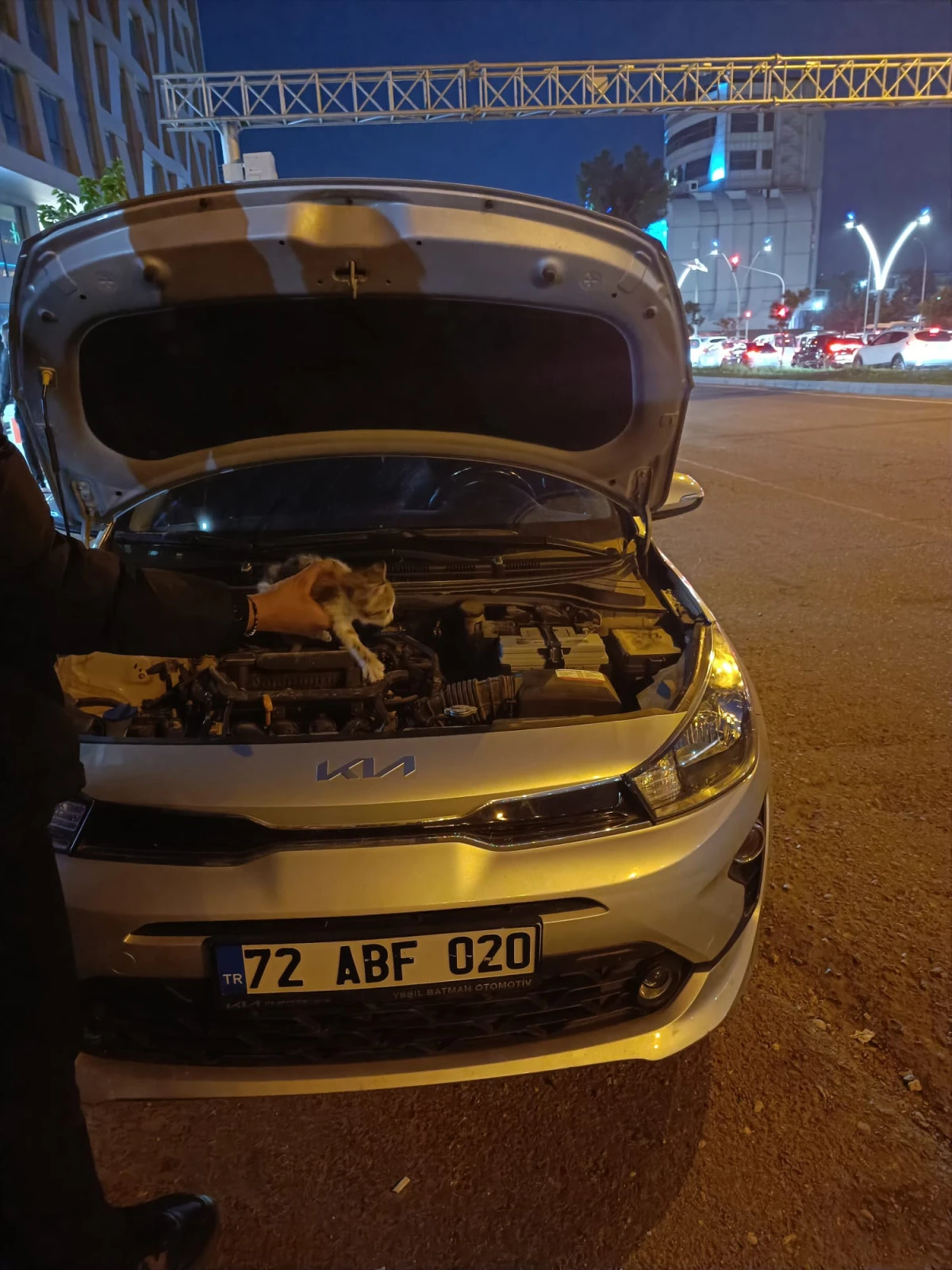 Motor  kısmında sıkışan kedi kurtarıldı 