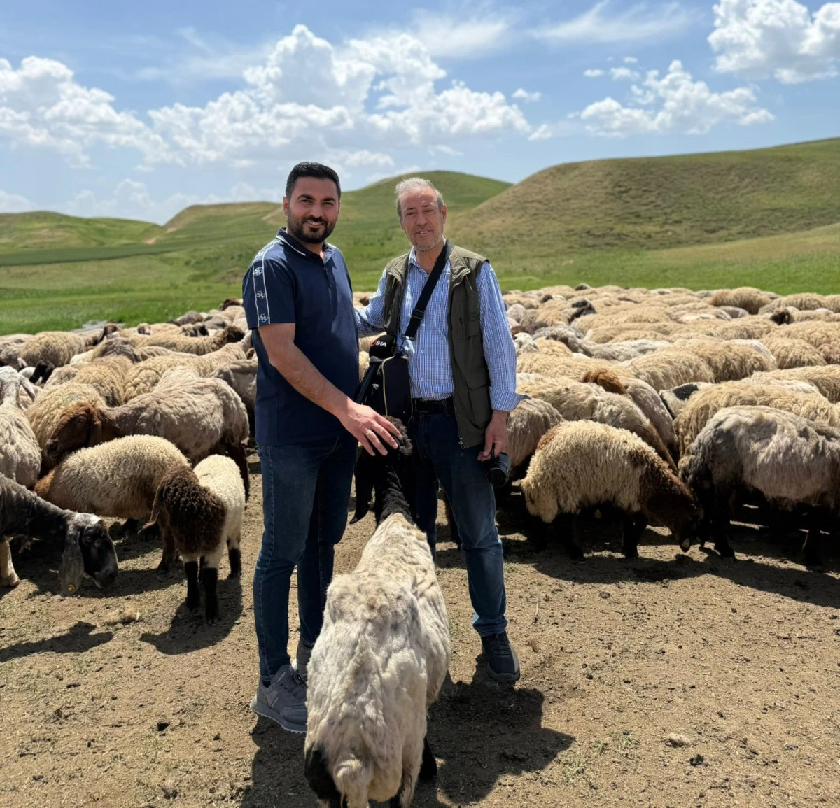 PEYNİRİN ADRESİ: MEHMETOĞLU PEYNİRCİLİK