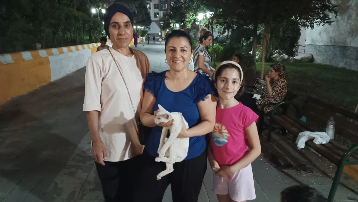 Sarmaşıklara Sıkışan Kedi Bir Saatlik Çaba Sonucunda Kurtarıldı