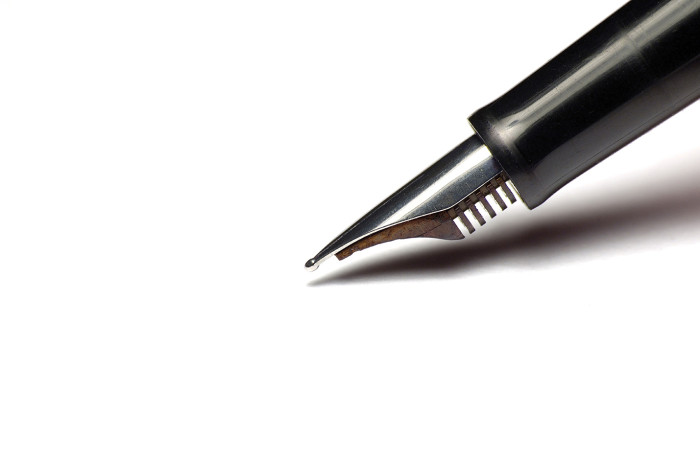 Asel Şentürk (KONUK YAZAR)